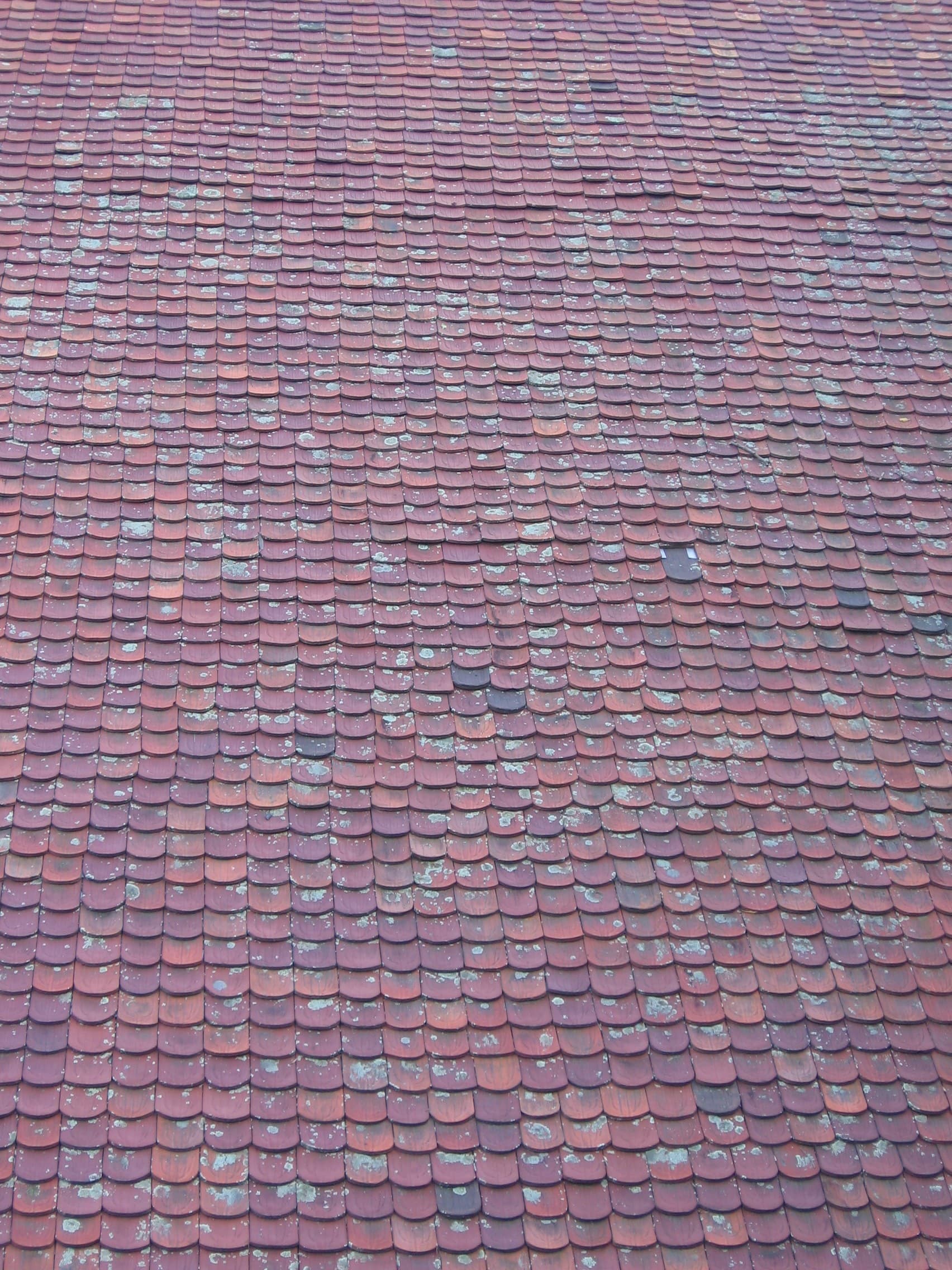 Weathered concrete roof tiles, greyed and lichen-touched, typical of late-twentieth-century Brisbane estates